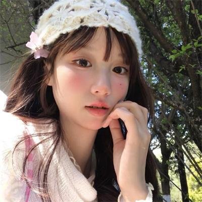 巡回检察组